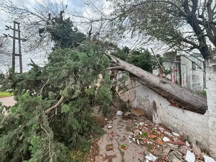 tormenta-main