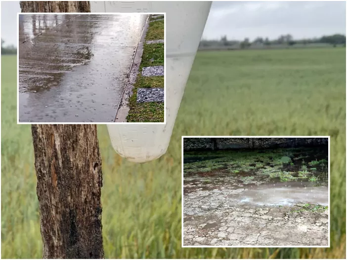 lluvia mosaico