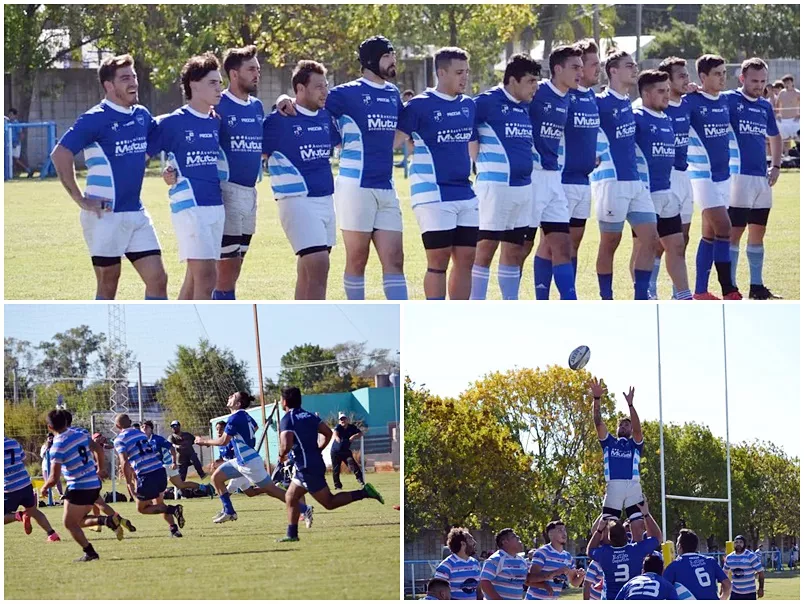 teros mosaico