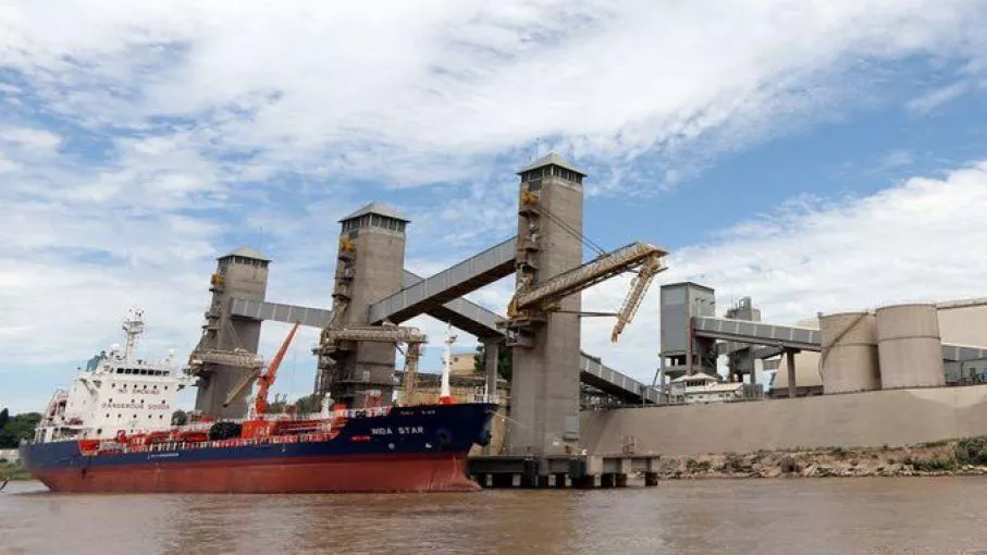 rio bajo exportación