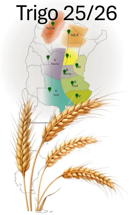 0001_Imagen_de_referencia-7-5-2025