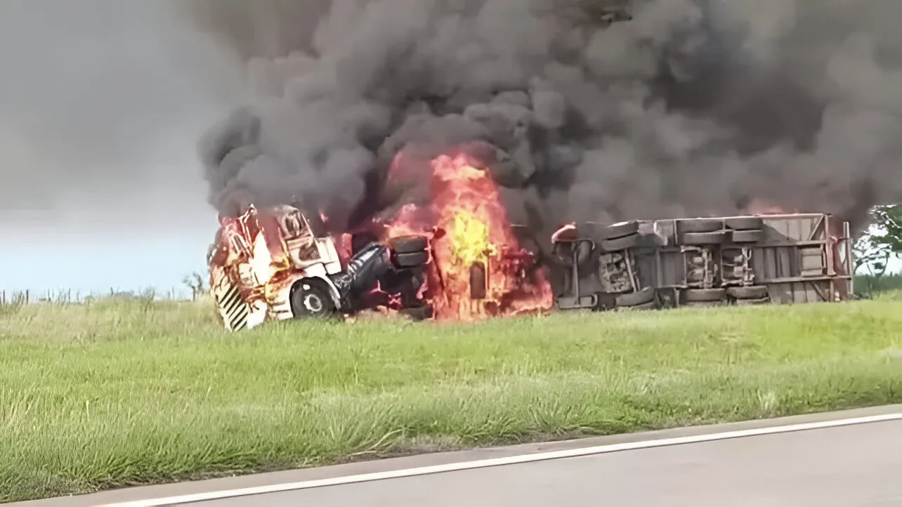 multimedia.normal.926ecfc4669967f3.cGl4ZWxjdXQtZXhwb3J0ICgxKV9ub3JtYWwud2VicA==