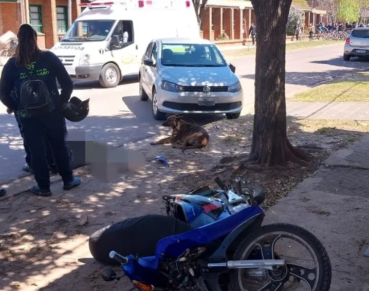 auto san genaro