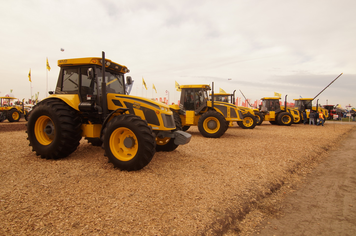 DSC01420_redimensionar