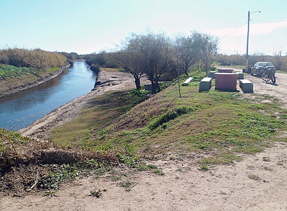 tortugasarroyo.jpg