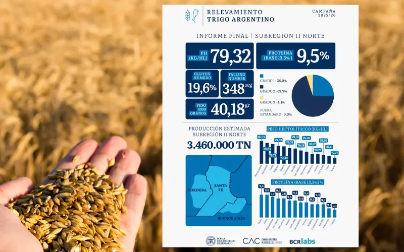 trigo analisis portada