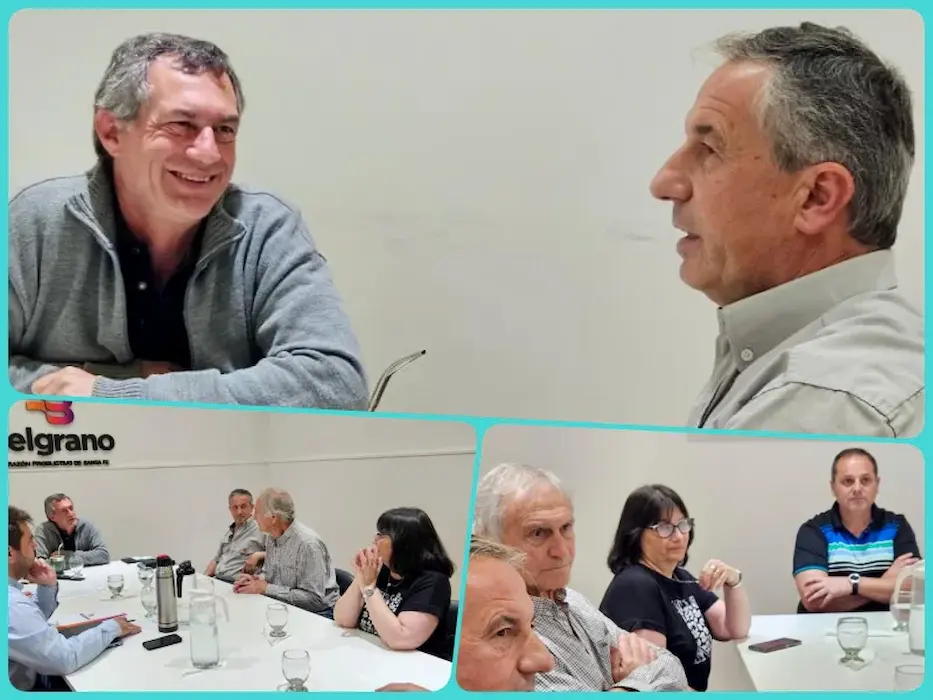 verdecchia collage (1)