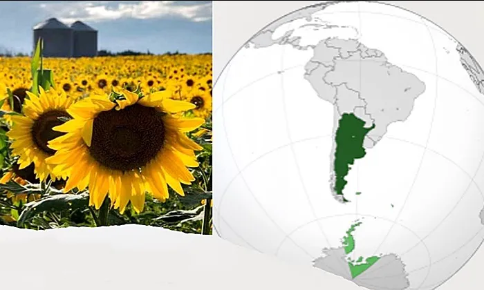 0001_Imagen_de_referencia-18-06-2025 b