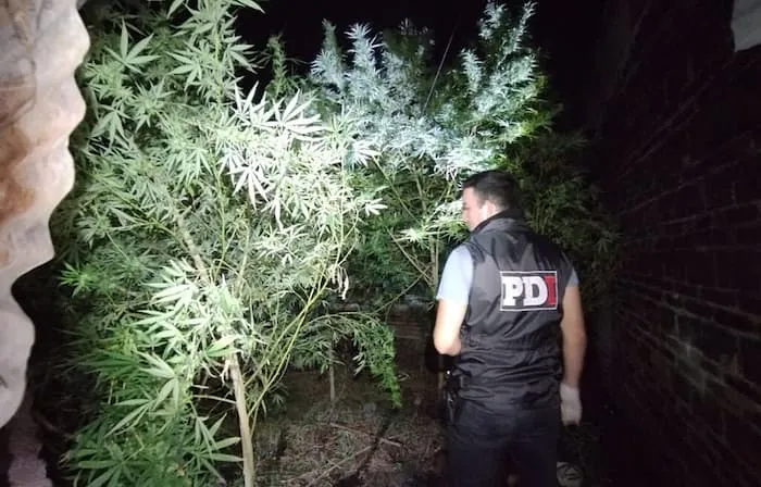 PDIPIamonte-1024x768