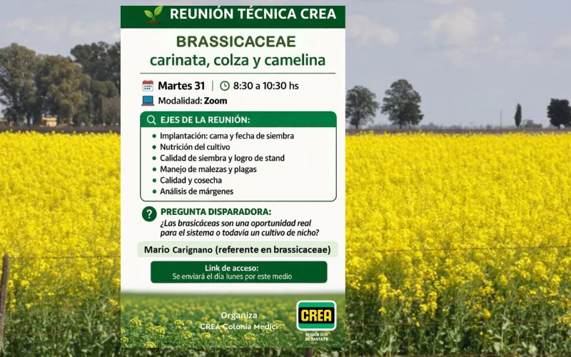 Sin título (400 x 500 px)