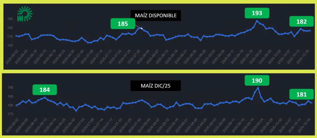 orto image-17-1024x446