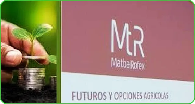 mercado imagen portada