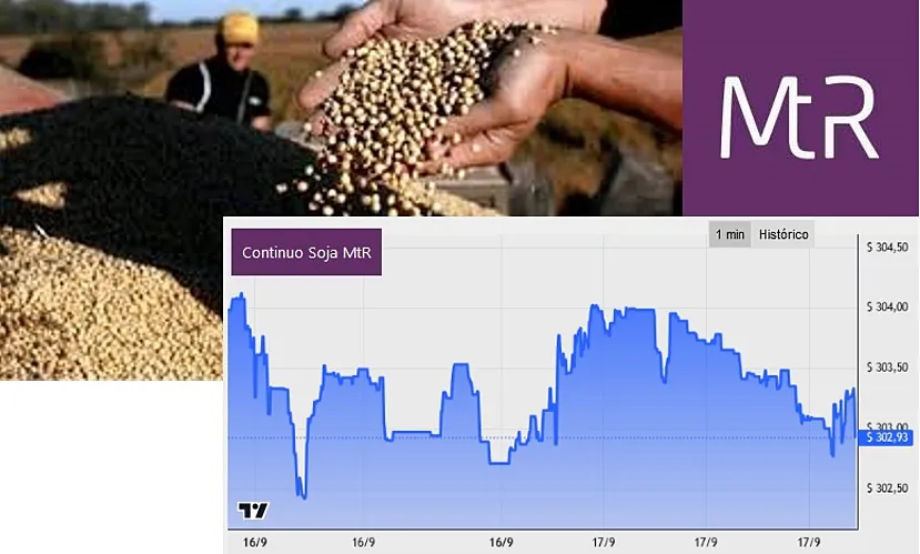 0 Imagen_de_referencia-18-09-2024