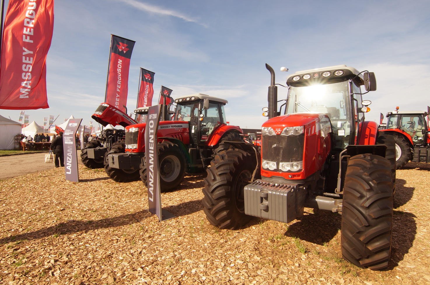 DSC01282_redimensionar