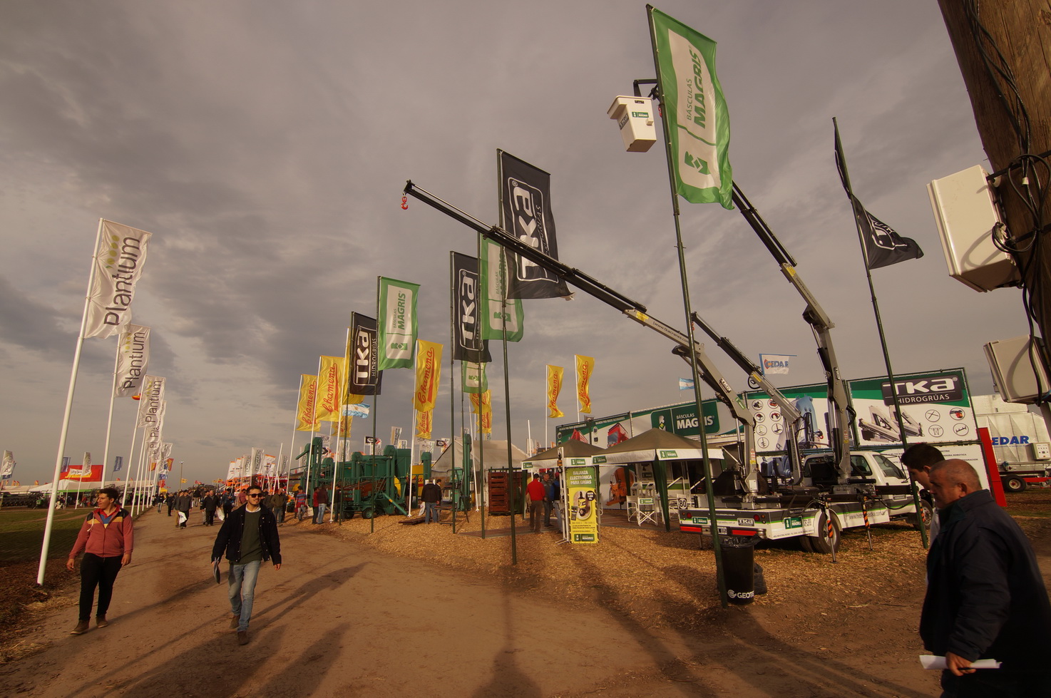 DSC01384_redimensionar