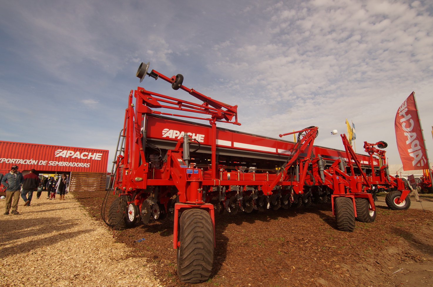 DSC01306_redimensionar