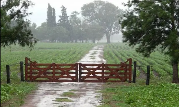 lluvia-para-el-campo