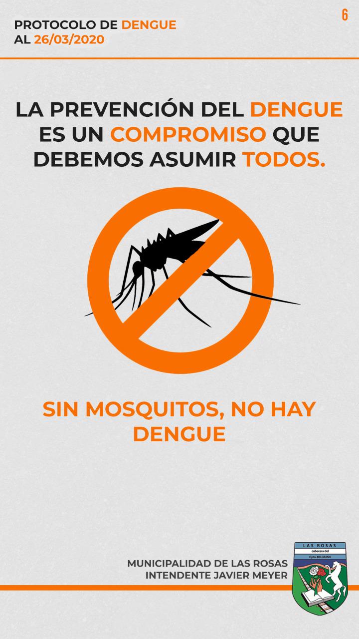 dengue 6