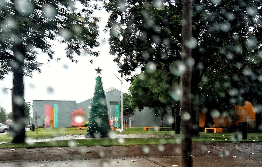 lluvia 20dic19 pino