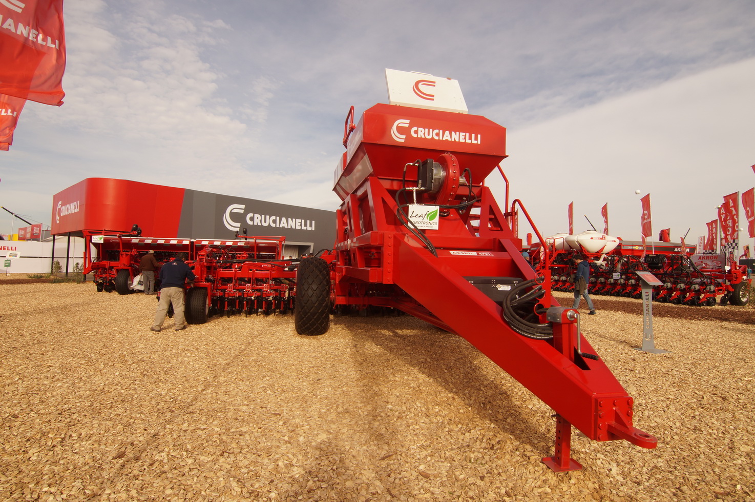 DSC01325_redimensionar