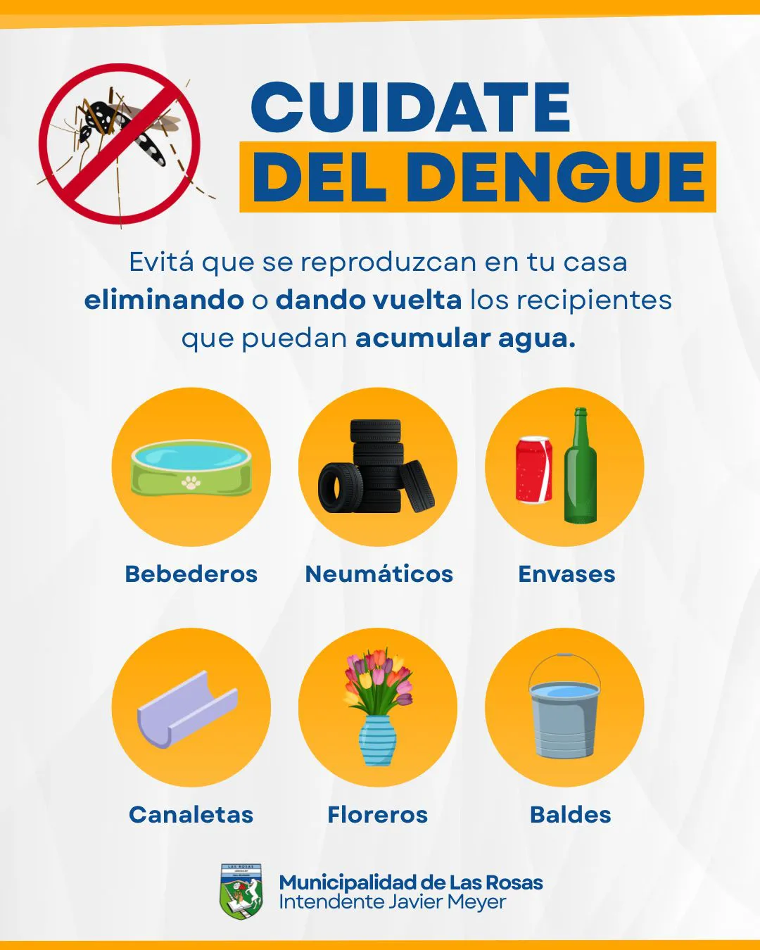 dengue