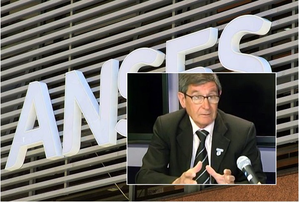 anses-mansilla-mosaico