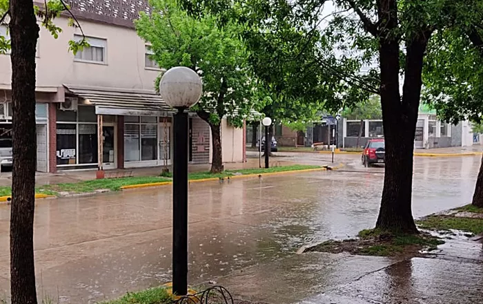 llueve las rosas