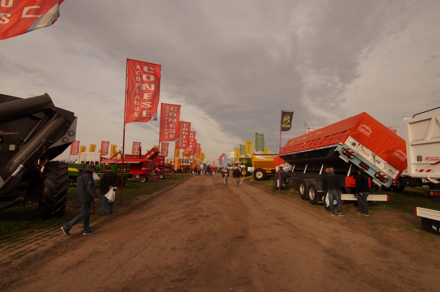 DSC01396_redimensionar