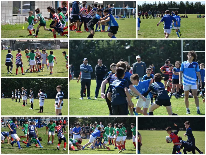 encuentro rugby mosaico