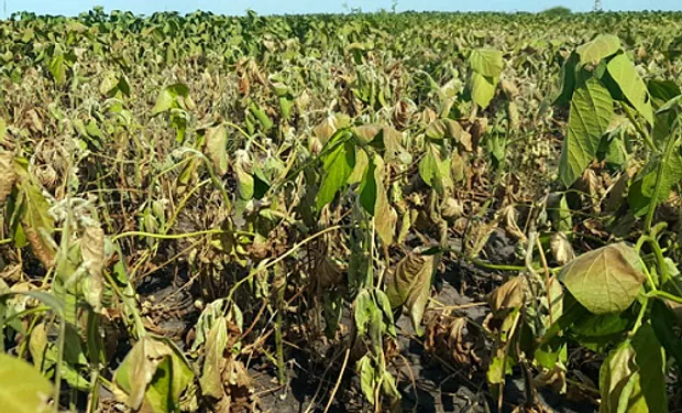emergencia-agropecuaria