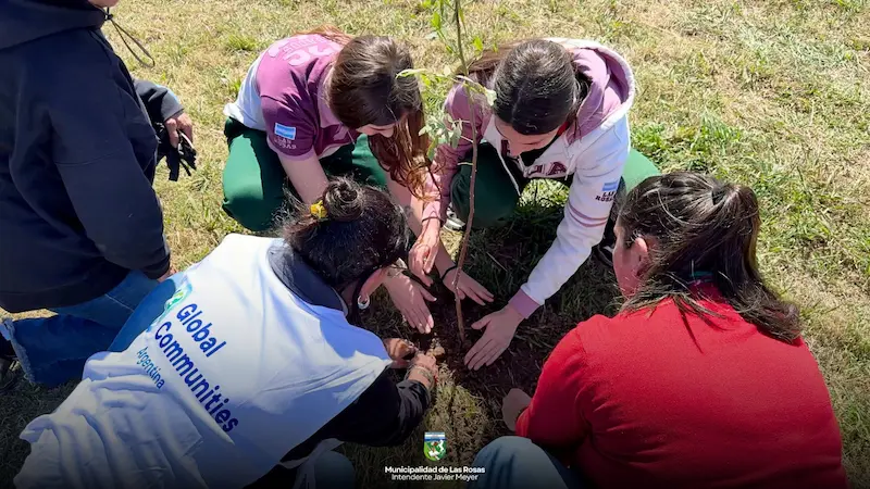 plantar proyecto