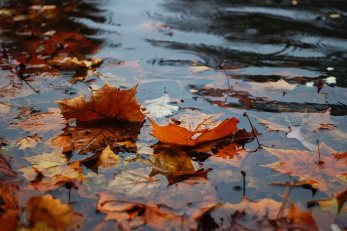 foto lluvia otoño