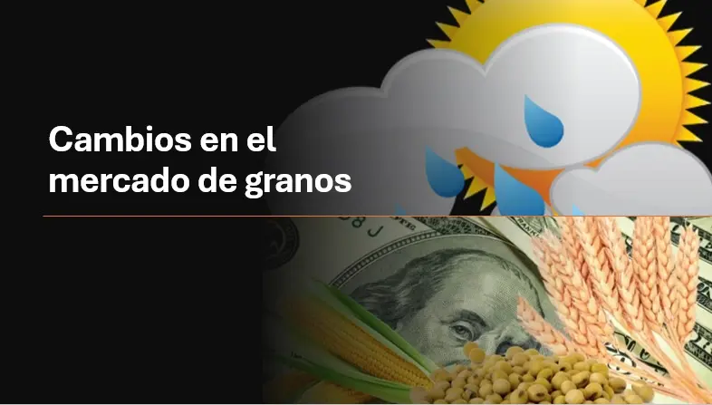 0001_Imagen_de_referencia-05-02-24