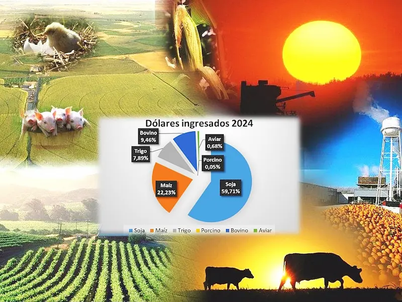 0001_Imagen_de_referencia-26-02-2025