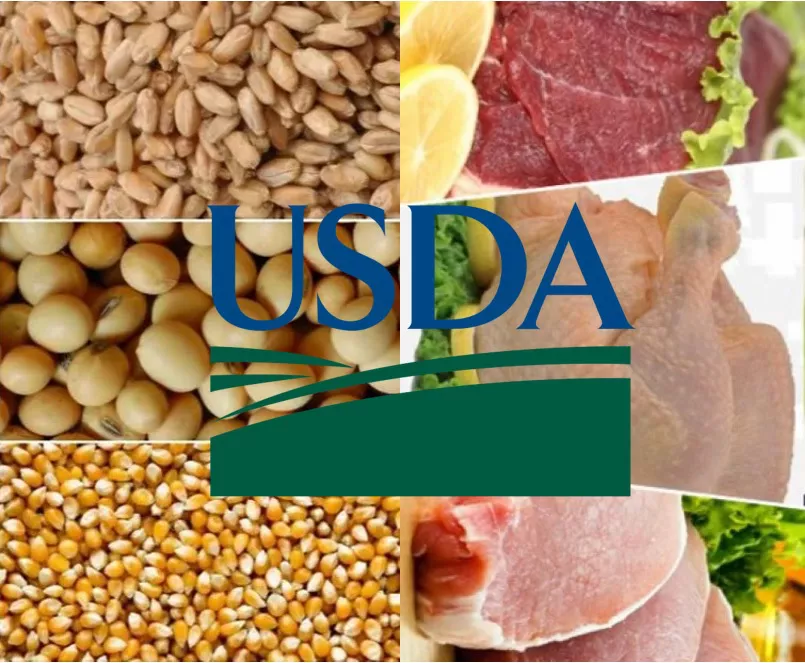 Imágen de referencia-17-10-2022[15956]