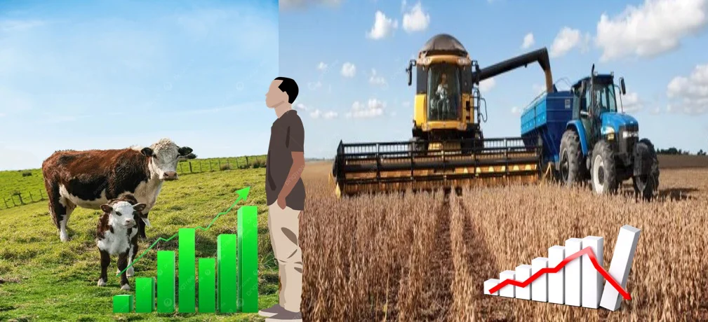 0001_Imagen_de_referencia.11-03-2026