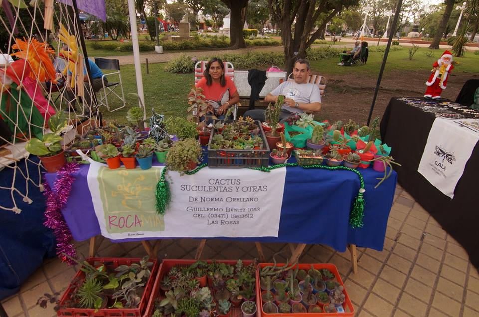 48377334_207491170183928_2312214610377179136_n