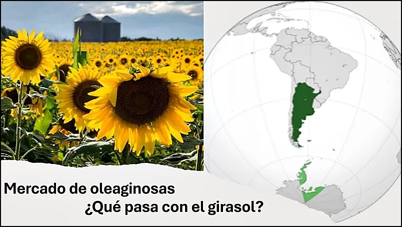 0001_Imagen_de_referencia-18-06-2025