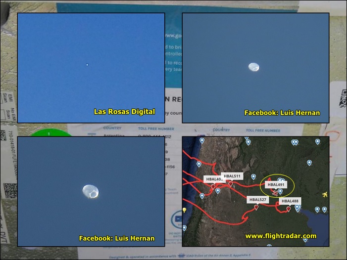 proyecto loon mosaico