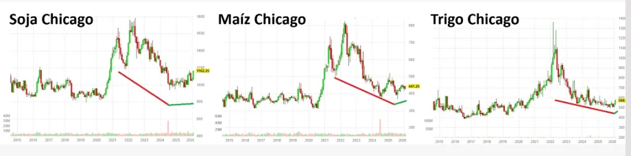 grafico 1
