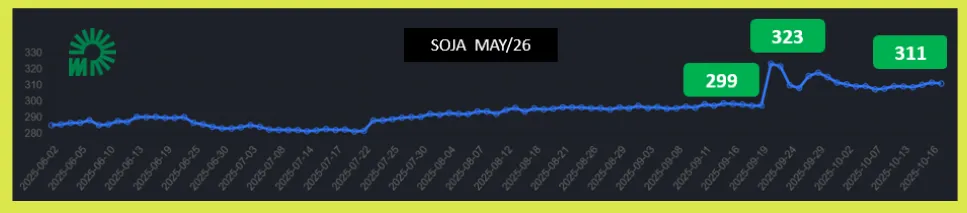orto soja finitaimage-18