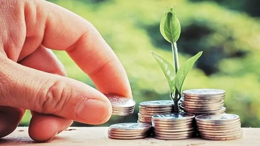 0001_Imagen_de_referencia-20-11-2024