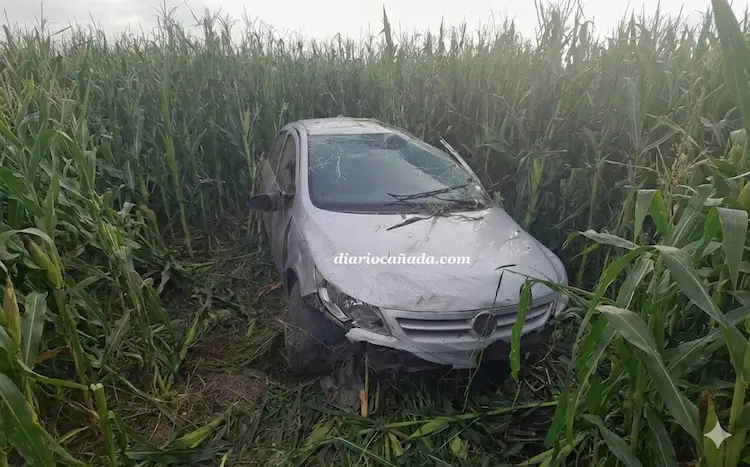 auto maizal