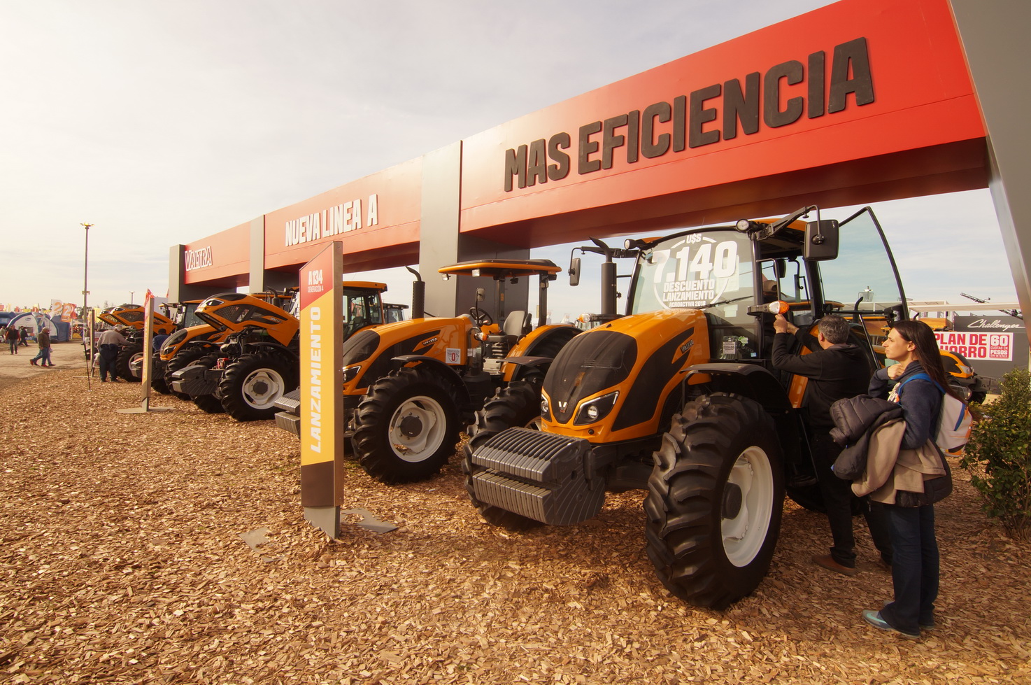 DSC01338_redimensionar