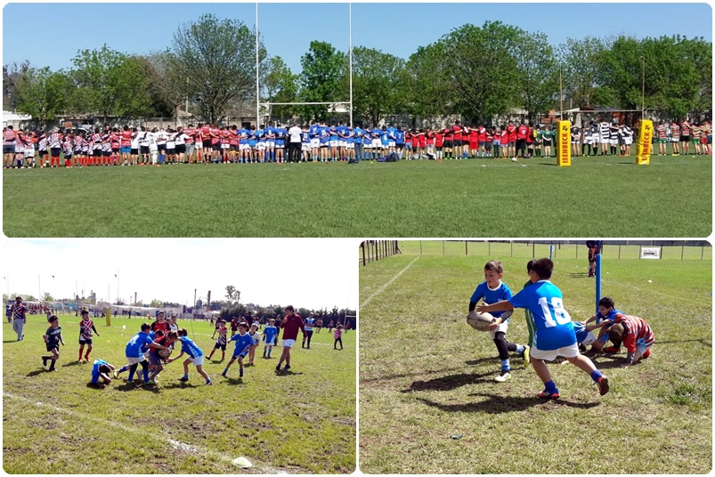 rugby encuentro mosaico