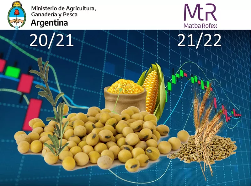 Imagen de Referencia-20-09-2021