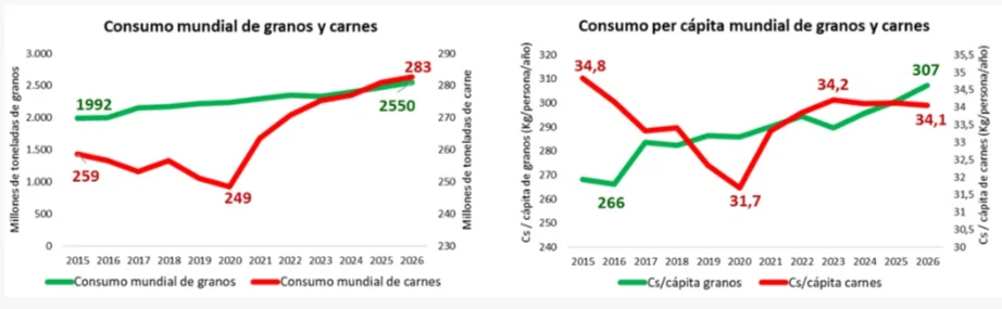 grafico 5