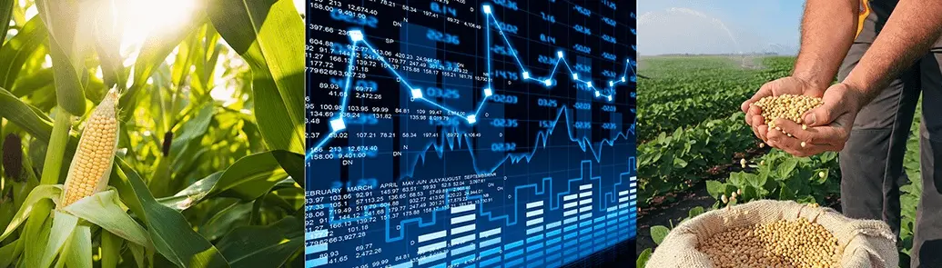 0001_Imagen_de_referencia_23-10-2024