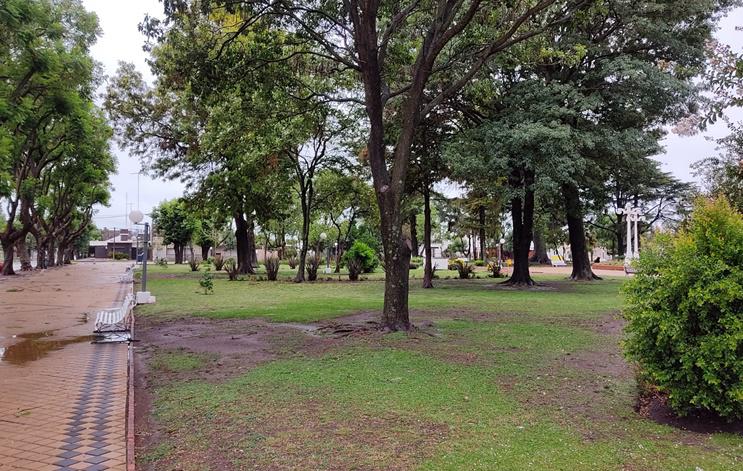 lluvia enero 2021 plaza