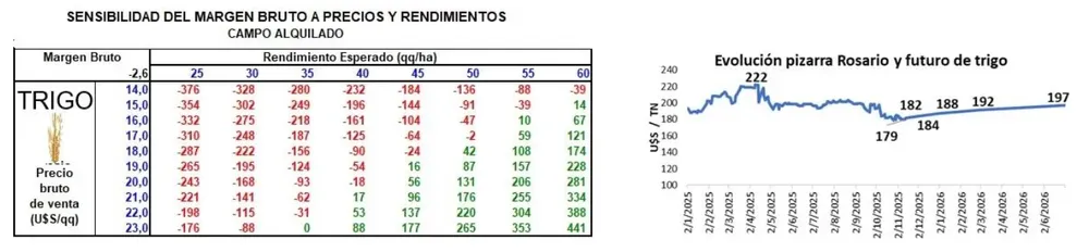 3 Captura de pantalla 2025-11-12 224406